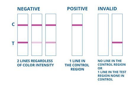 urine drug test results